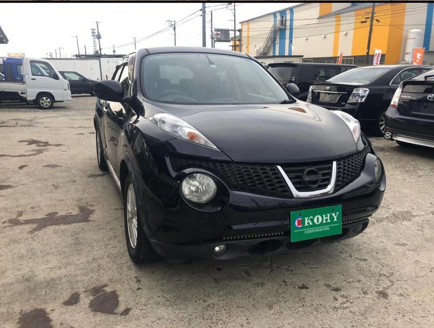 2013 Nissan Juke